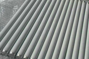 �ǌ��Q����Ĥ�Vо/